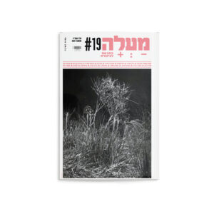 מעלה: גיליון 19