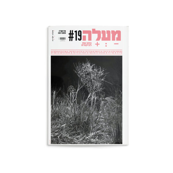 מעלה: גיליון 19