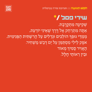 mls-carmelit23